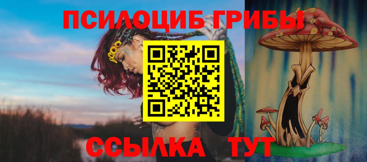 Псилоцибиновые грибы Magic Shrooms  Вход с VPN  Ишимбай 